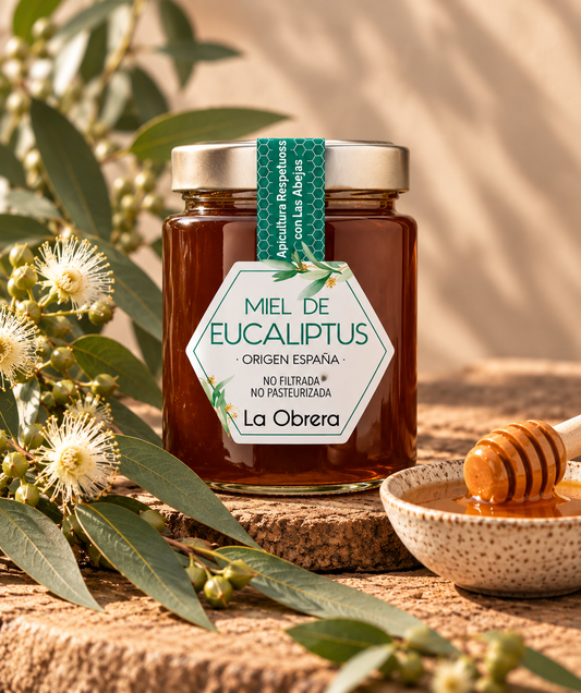 Miel de Eucalipto