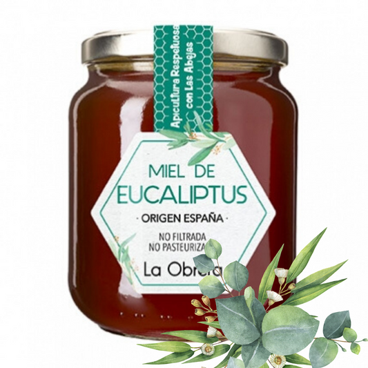 Miel de Eucalipto